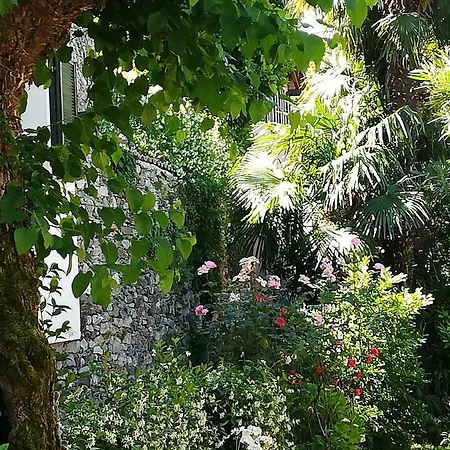 Casa Olivo Nyaraló *