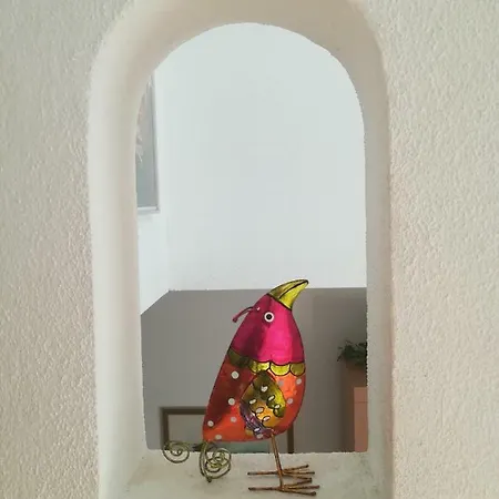 Casa Olivo *
